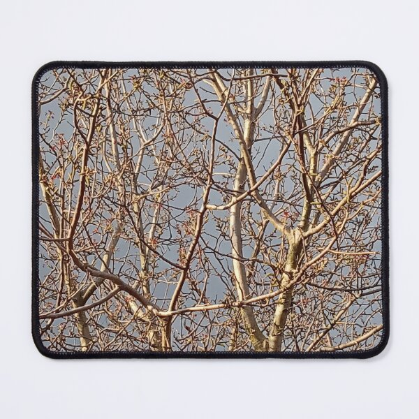 Item preview, Early Spring Walnut Tree Branches – Vibrant Garden Scene :) designed and sold by Myriel-Myriel.
