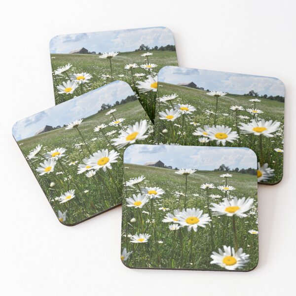 Item preview, A field of daisies in bloom designed and sold by Claude Laprise.