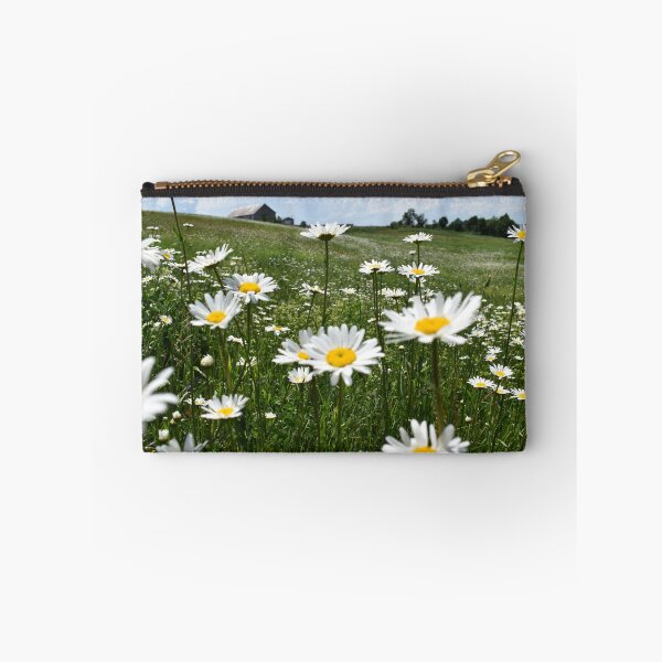Item preview, A field of daisies in bloom designed and sold by Claude Laprise.