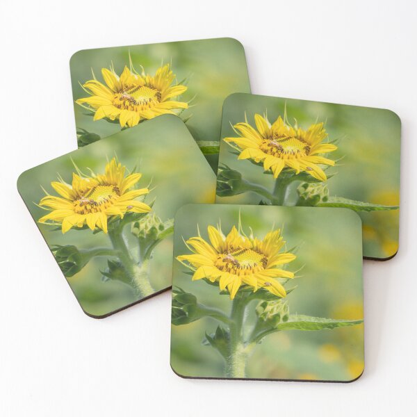 Item preview, A Quiet Moment designed and sold by Cathy Donohoue.