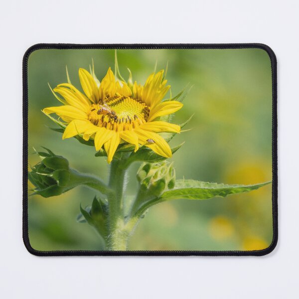 Item preview, A Quiet Moment designed and sold by Cathy Donohoue.