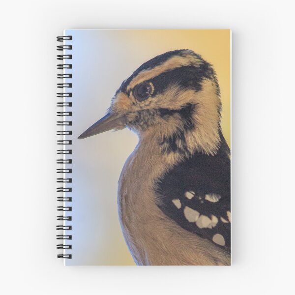 Item preview, Downy Woodpecker designed and sold by WaterHunter82.