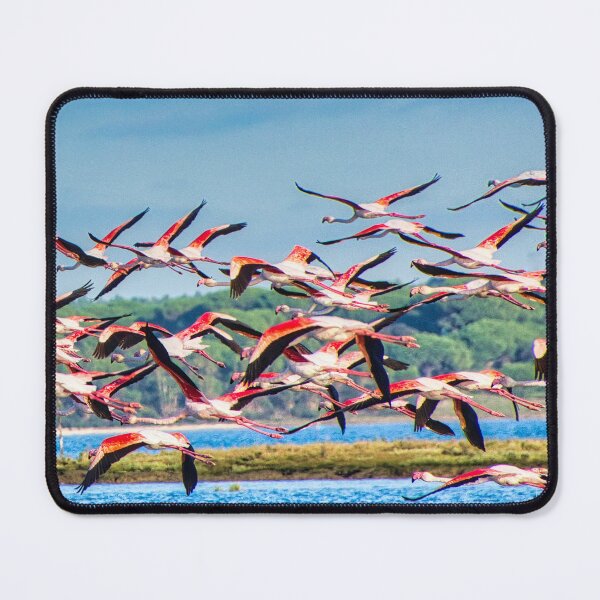 Item preview, Flamingo Flamboyance in Flight  designed and sold by Joy Goldman.