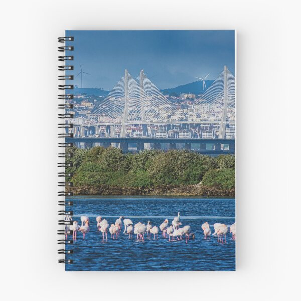 Item preview, Vasco de Gama Bridge and Flamingos designed and sold by Joy Goldman.