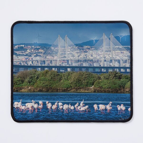 Item preview, Vasco de Gama Bridge and Flamingos designed and sold by Joy Goldman.