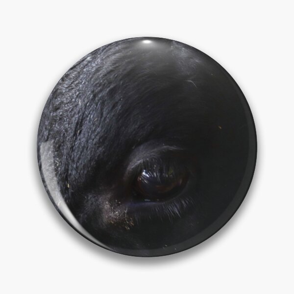 Item preview, Aberdeen Angus Close up of eye designed and sold by sammbramm.