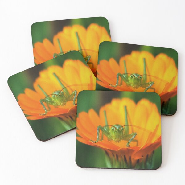 Item preview, Grasshoppers looks on flower designed and sold by Szilbox.