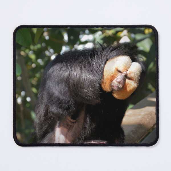 Item preview, Saki Looking Back designed and sold by Savannah Gibbs.
