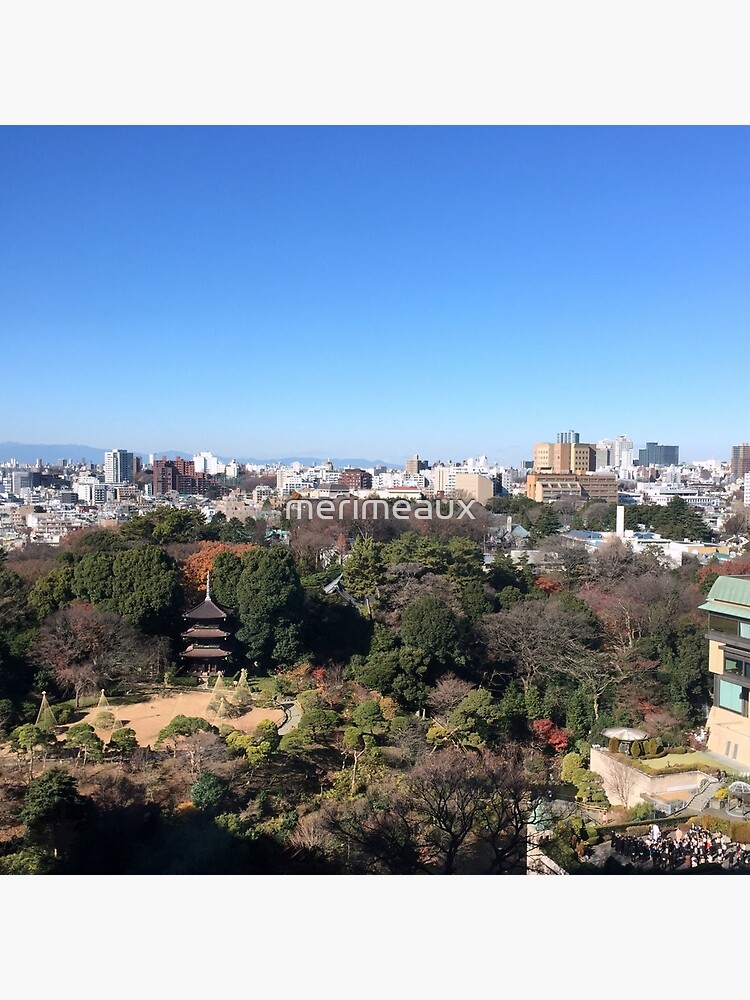 Chinzan-so Garden, December 2014 : Photo Friday at meauxtaku.com by merimeaux