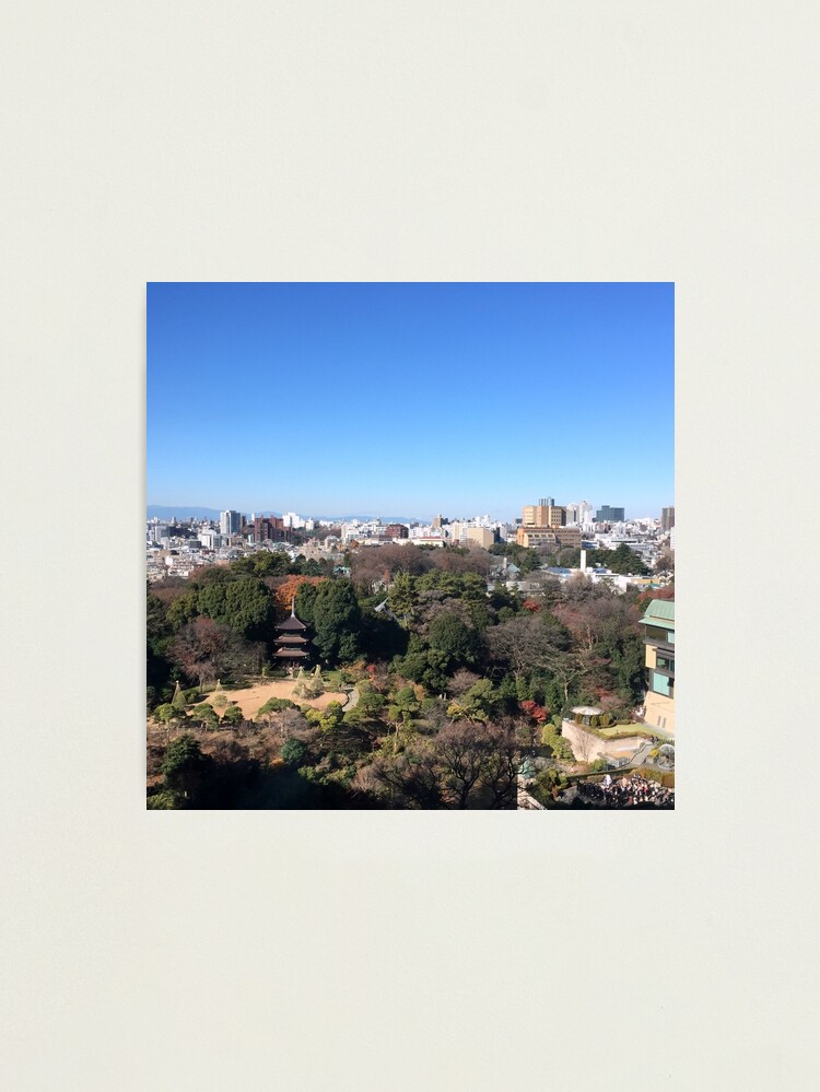Alternate view of Chinzan-so Garden, December 2014 : Photo Friday at meauxtaku.com Photographic Print