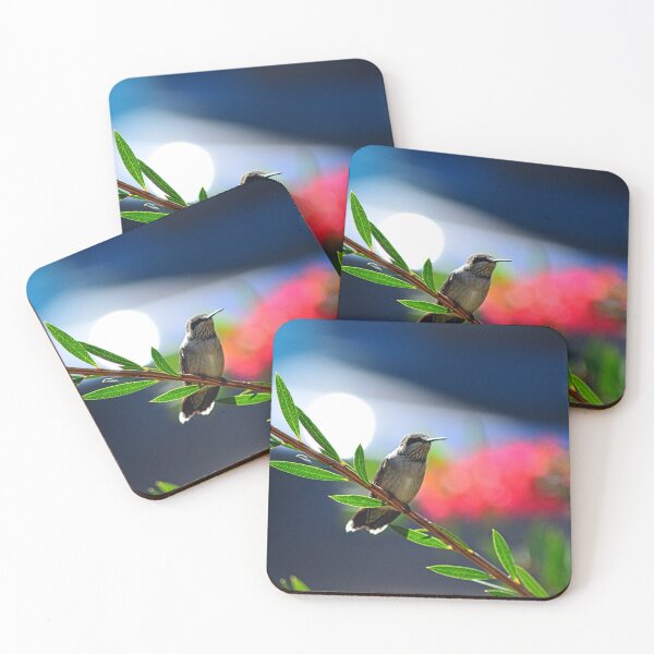 Item preview, Hummingbird designed and sold by LisaWootenPhoto.