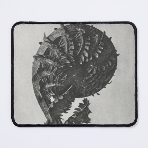 Item preview, Ostrich Fern designed and sold by BlueSpecsStudio.
