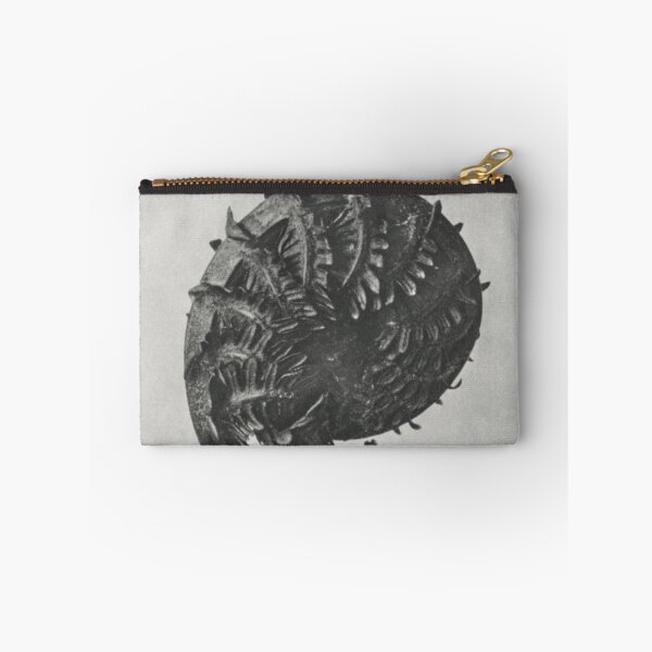 Item preview, Ostrich Fern designed and sold by BlueSpecsStudio.