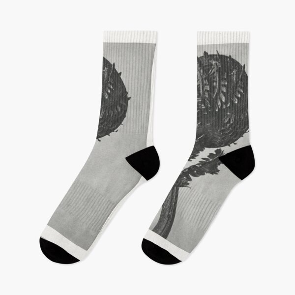 Item preview, Ostrich Fern designed and sold by BlueSpecsStudio.