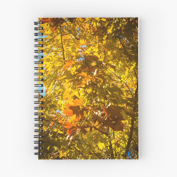 Item preview, Autumn Tree designed and sold by Ann-AnniePhoto.