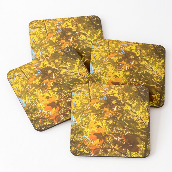 Item preview, Autumn Tree designed and sold by Ann-AnniePhoto.