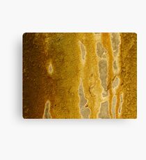 Grunge Art Canvas Print