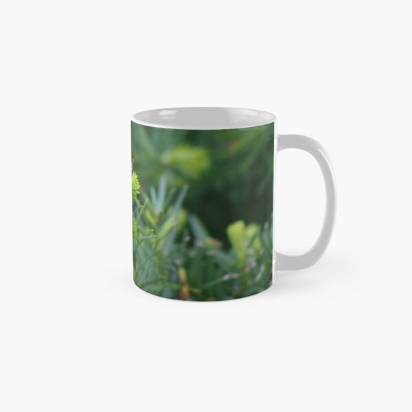 Evergreen Enamel Mug - The Great PNW