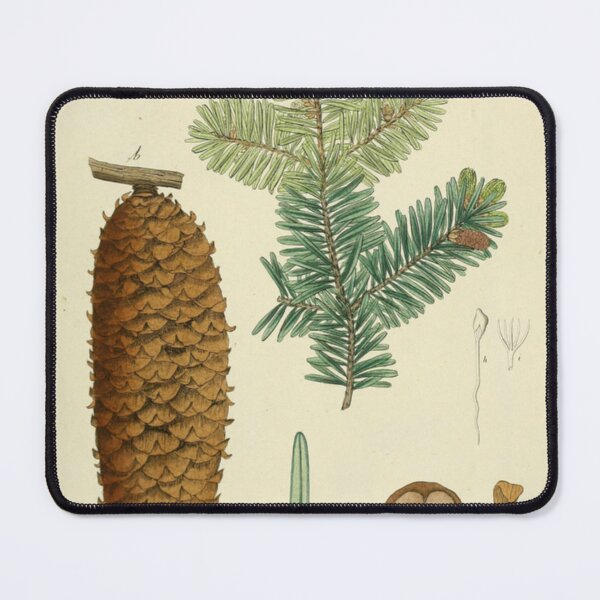 Item preview, Botanical Silver Fir designed and sold by BlueSpecsStudio.