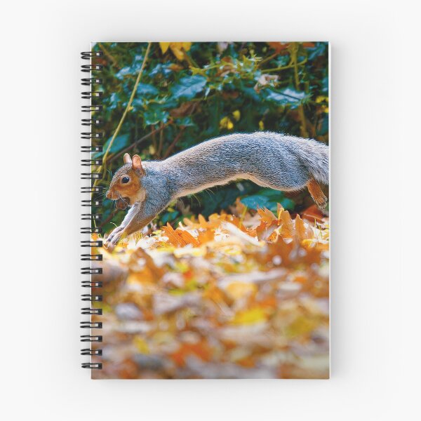 Item preview, Pouncing squirrel  designed and sold by TJPhotography97.