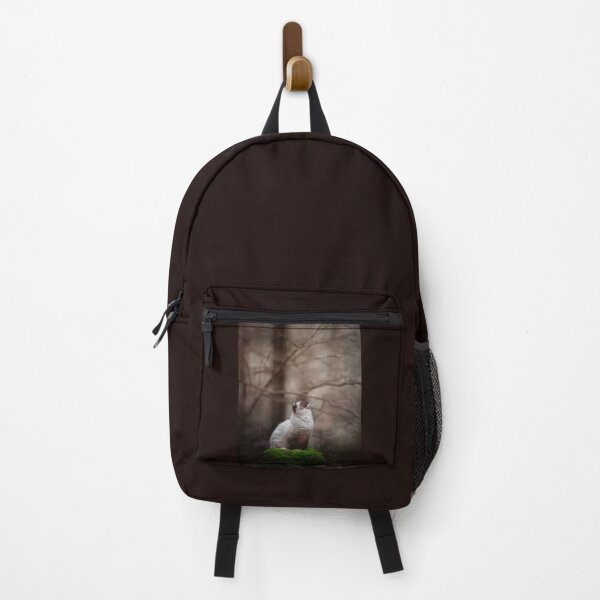 Item preview, Ragdoll cat mitted in a beautiful forest, photography , artistic designed and sold by MrGreenDragon.