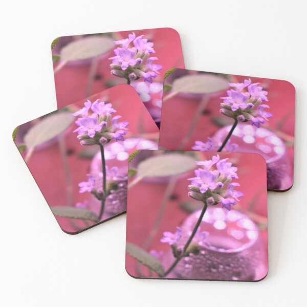 Item preview, Lavender Hydroponics designed and sold by MangoSeeds.