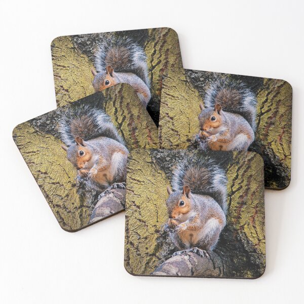 Item preview, Snacking Squirrel designed and sold by TJPhotography97.
