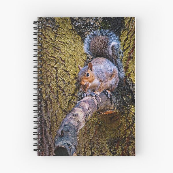 Item preview, Lurching Squirrel designed and sold by TJPhotography97.
