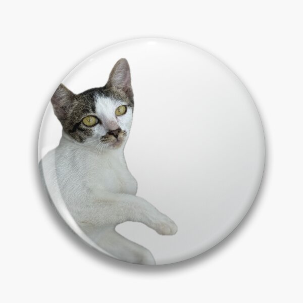 Item preview, Playful Cat Pose designed and sold by Piriyaphong.