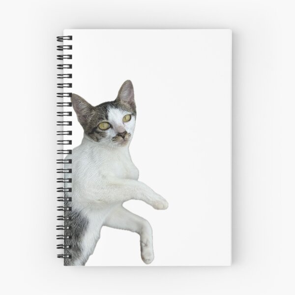 Item preview, Playful Cat Pose designed and sold by Piriyaphong.