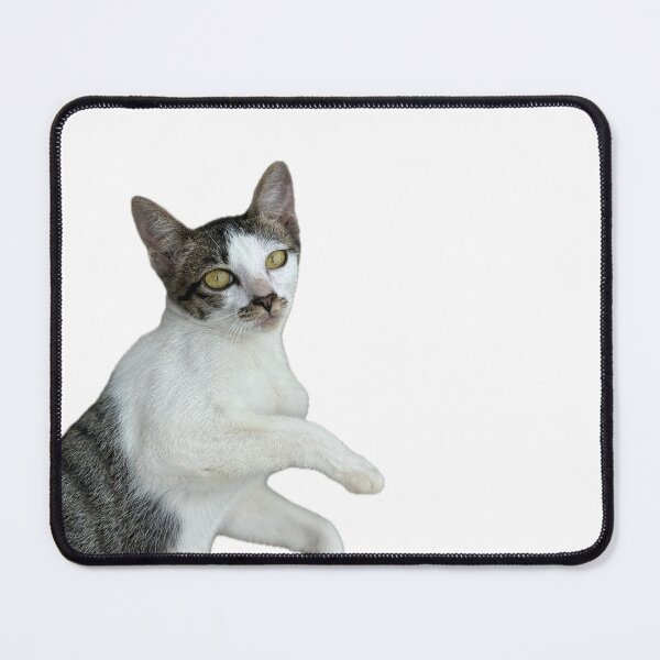 Item preview, Playful Cat Pose designed and sold by Piriyaphong.