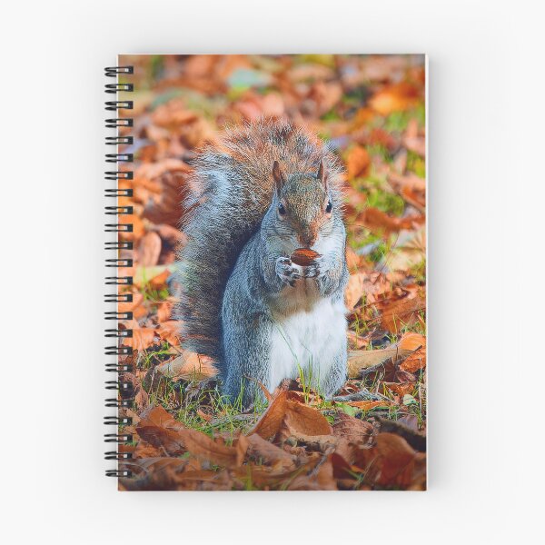Item preview, Autumnal Snack designed and sold by TJPhotography97.
