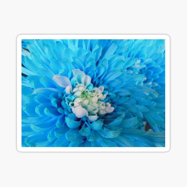 Item preview, Blue Majesty designed and sold by My-EventHorizon.