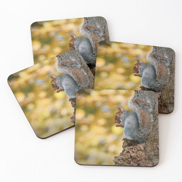 Item preview, Hidden Squirrel designed and sold by TJPhotography97.