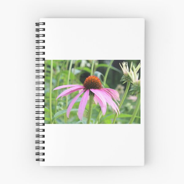 Item preview, A coneflower of summer designed and sold by Beth Tidd.