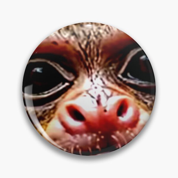 Item preview, Ewoks Face Artwork  designed and sold by 3triadstore.