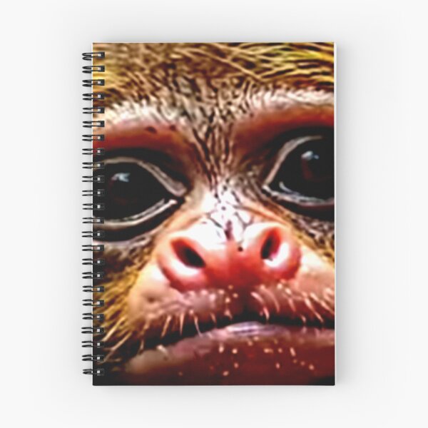 Item preview, Ewoks Face Artwork  designed and sold by 3triadstore.