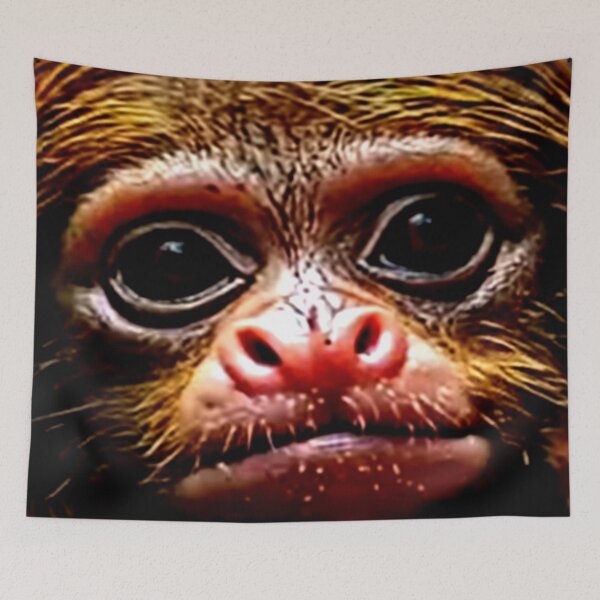 Item preview, Ewoks Face Artwork  designed and sold by 3triadstore.