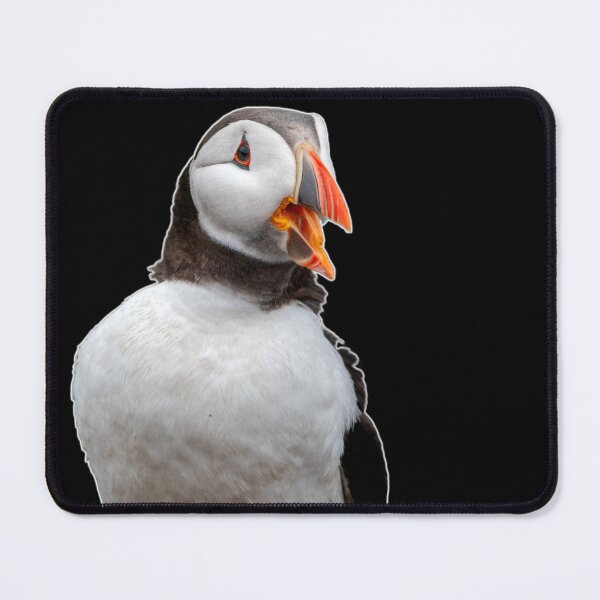 Item preview, Shout Out! designed and sold by Julie Wilkinson.