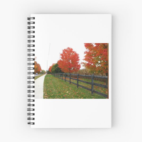 Aperçu de l'œuvre Automne à Richland Michigan créée et vendue par Beth Tidd.
