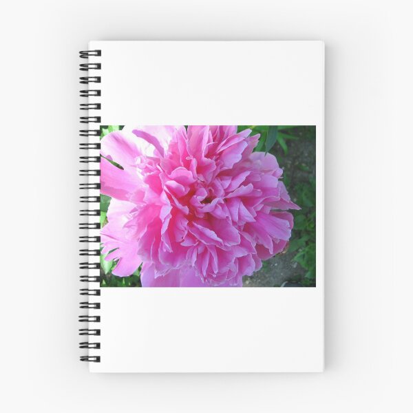 Item preview, Pink peony designed and sold by Beth Tidd.
