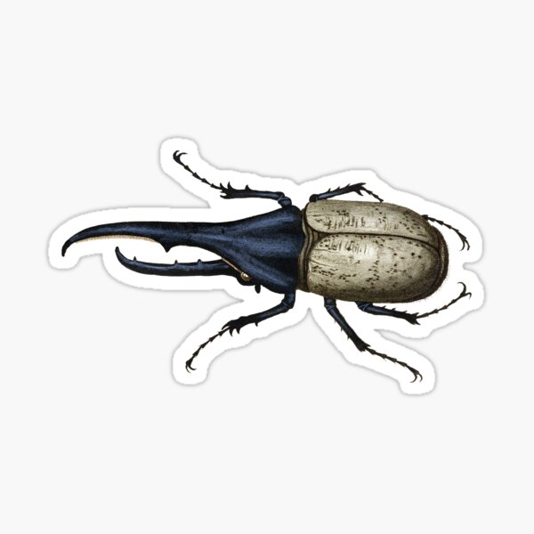 Item preview, Hercules Beetle designed and sold by TheLoxodonta.