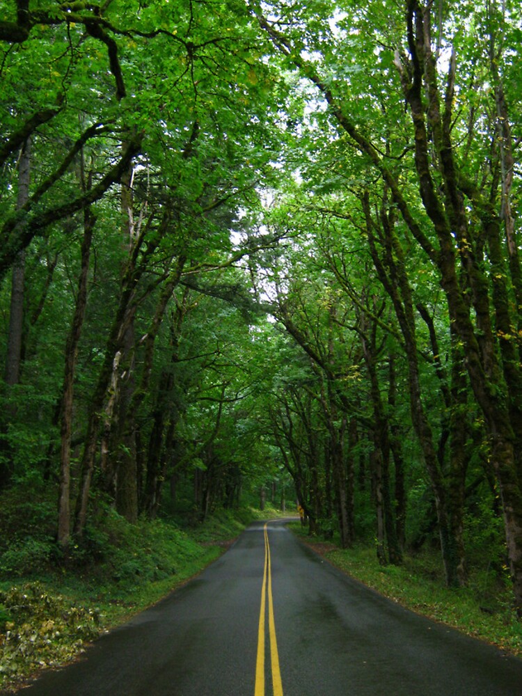 Thumbnail 4 of 4, iPhone Case, Backroads designed and sold by e4exxus.