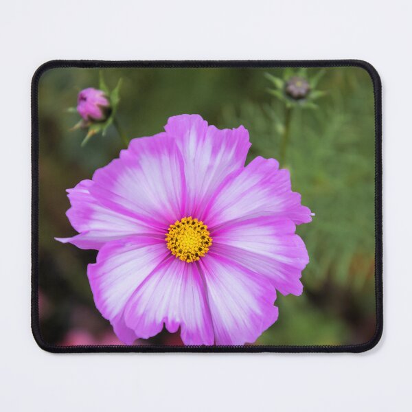 Item preview, Cosmos designed and sold by JEZ22.