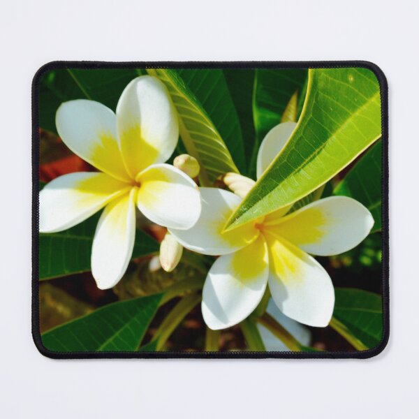 Item preview, "Sunny Duo: Two Yellow Frangipanis on a Tree" designed and sold by A-Work-Of-Art.