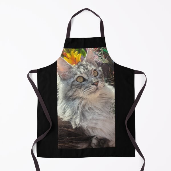 Item preview, Maine coon kitten in the sun designed and sold by Fluffycat2020.
