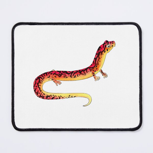 Item preview, Cave Salamander designed and sold by LittleClayFrog.