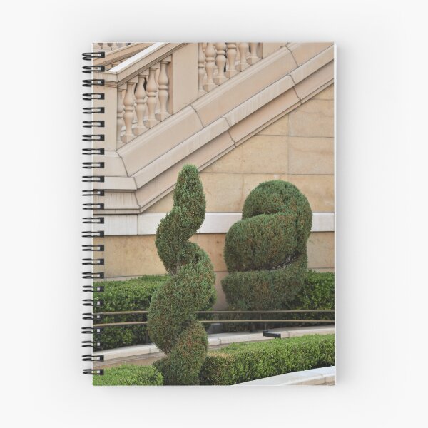 Item preview, Topiaries designed and sold by MangoSeeds.