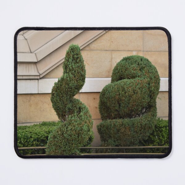 Item preview, Topiaries designed and sold by MangoSeeds.
