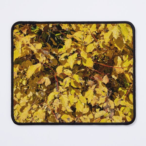 Item preview, Common Dogwood, Fall Leaves designed and sold by Gaboro.
